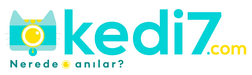 kedi7.com