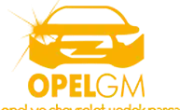 Opel GM Promosyon Kodları 
